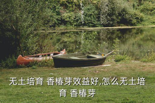 無土培育 香椿芽效益好,怎么無土培育 香椿芽