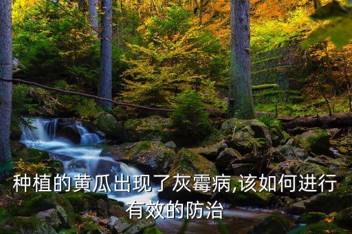 瓜類葉霉用什么農藥,瓜類不能用什么農藥