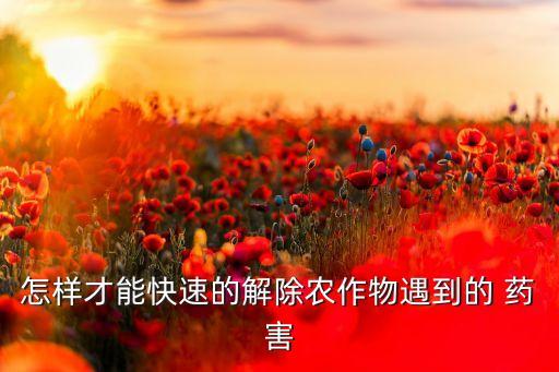 怎樣才能快速的解除農(nóng)作物遇到的 藥害