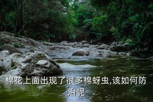 什么農藥殺棉蚜好使呢視頻