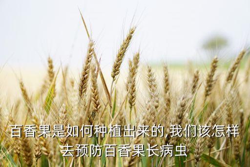 百香該打什么農藥,桃樹現在該打什么農藥