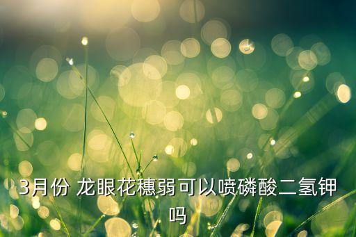 3月份 龍眼花穗弱可以噴磷酸二氫鉀嗎