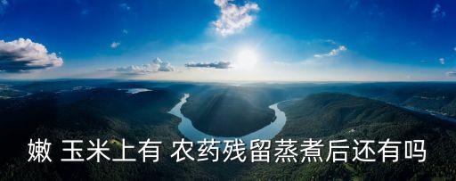 嫩 玉米上有 農(nóng)藥殘留蒸煮后還有嗎