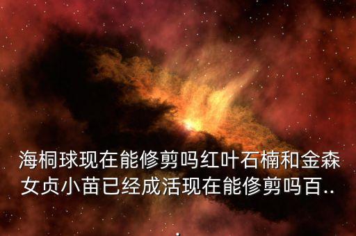 海桐打什么農藥,海桐生長在什么地方