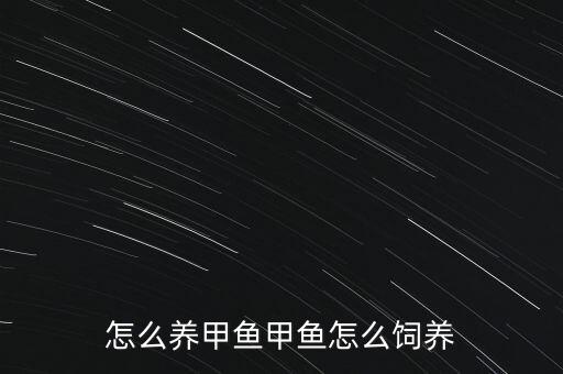 怎么養甲魚甲魚怎么飼養