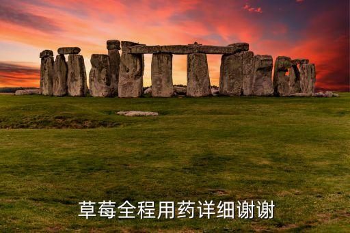 草莓全程用藥詳細謝謝