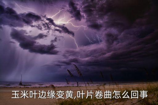 玉米卷葉用什么農藥,玉米葉有農藥嗎