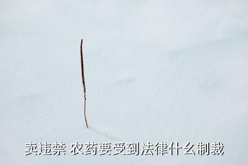 什么農藥不能賣,賣農藥需要什么證,到哪里培訓