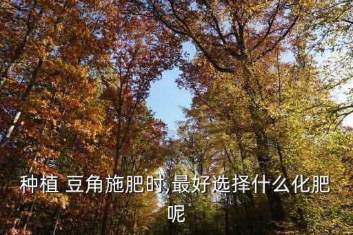 種植 豆角施肥時(shí),最好選擇什么化肥呢