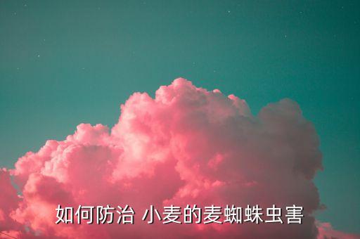 小麥有紅蜘蛛打什么農藥好,小麥紅蜘蛛什么時間防治