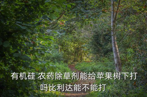 農藥有機硅什么品牌好,什么農藥不能加有機硅