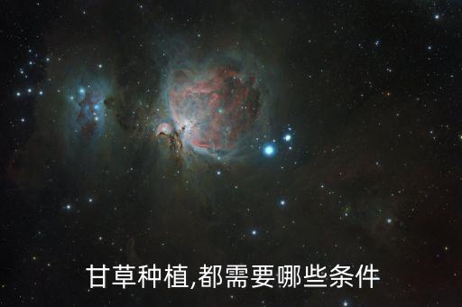  甘草種植,都需要哪些條件