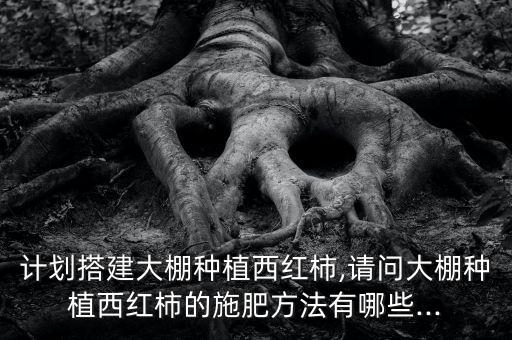 種番茄加什么農藥好些呢,番茄一般打什么農藥