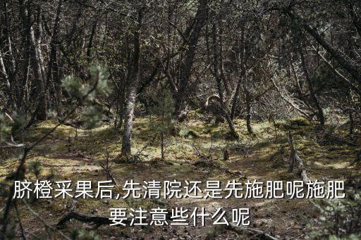 臍橙采果后,先清院還是先施肥呢施肥要注意些什么呢
