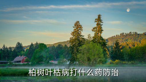 柏樹怕什么才能毒死它,柏樹最怕什么農藥