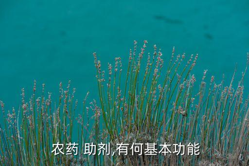 農藥增效助劑是什么,佳偶農藥增效噴霧助劑