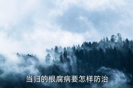 當(dāng)歸用什么農(nóng)藥長(zhǎng)得好,當(dāng)歸有什么作用?