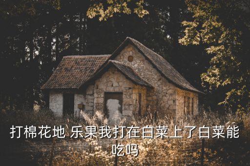 打棉花地 樂果我打在白菜上了白菜能吃嗎