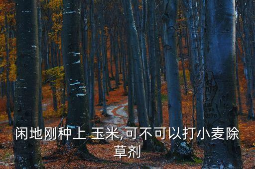 閑地剛種上 玉米,可不可以打小麥除草劑