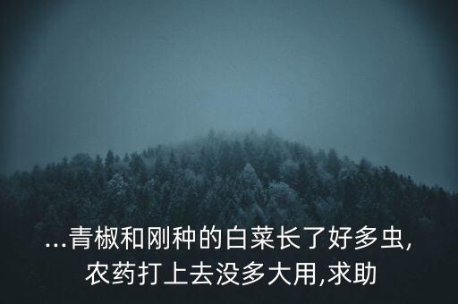 ...青椒和剛種的白菜長了好多蟲, 農(nóng)藥打上去沒多大用,求助