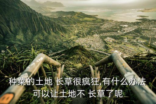 種菜的土地 長草很瘋狂,有什么辦法可以讓土地不 長草了呢