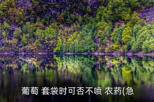 葡萄套袋時候用什么農(nóng)藥