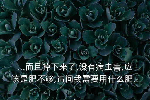 青棗用什么農(nóng)藥促花,青棗打什么農(nóng)藥