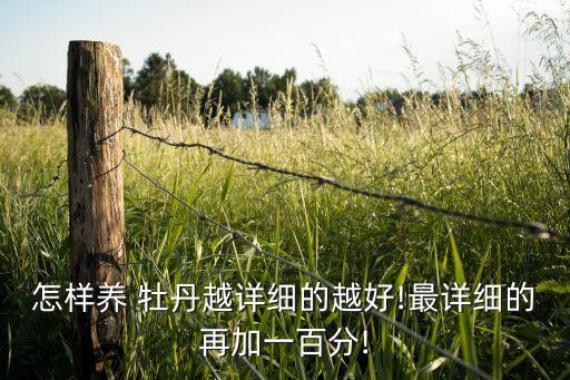 怎樣養 牡丹越詳細的越好!最詳細的再加一百分!