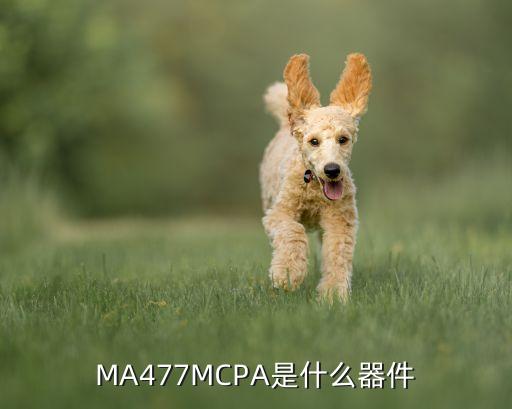 MA477MCPA是什么器件