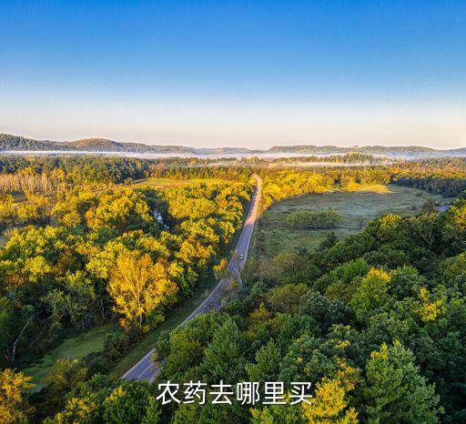 藥店賣什么農藥好,農藥百草枯藥店有賣嗎