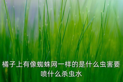 橘子上有像蜘蛛網一樣的是什么蟲害要噴什么殺蟲水