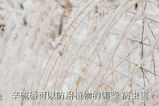 磷農藥治什么病蟲,農藥治病蟲大全