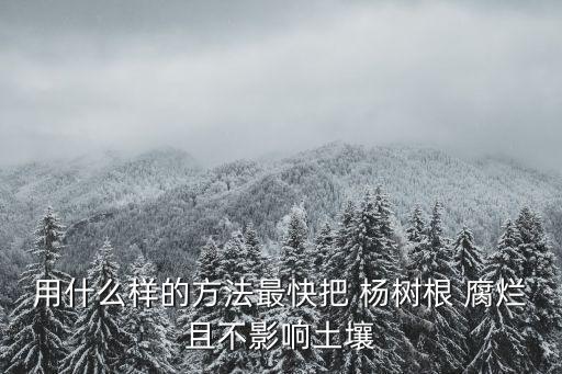 楊樹腐爛病用什么農藥,什么農藥能殺死楊樹