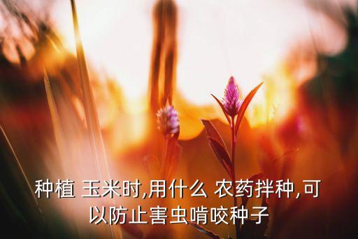 玉米早期噴什么農藥能防病,玉米種下后需要噴什么農藥