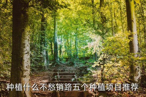 種植什么不愁銷路五個種植項目推薦
