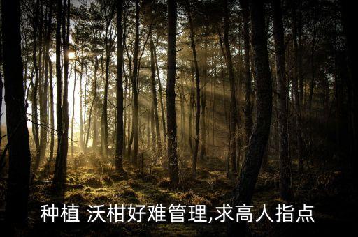 沃柑后期打什么農藥