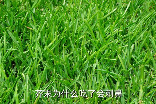 芥末為什么會(huì)有農(nóng)藥味道