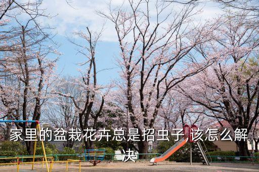 綠植防蟲該打什么農藥,桃子里面生蟲該打什么農藥防蟲