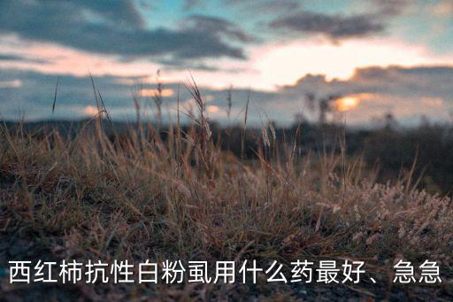 西紅柿抗性白粉虱用什么藥最好、急急