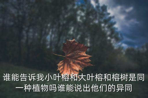 黃桷樹怕什么農藥