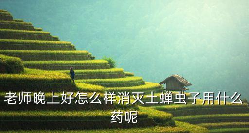 什么農藥殺死蟬,用什么農藥可以將樹木殺死