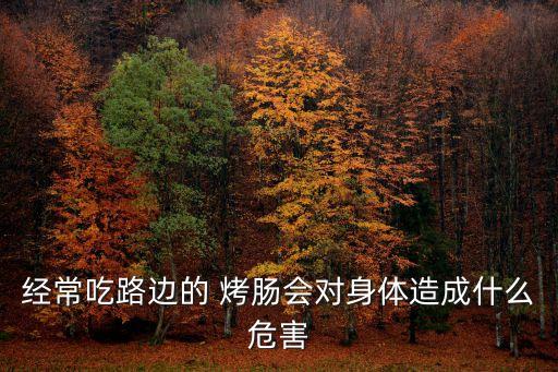 經常吃路邊的 烤腸會對身體造成什么危害