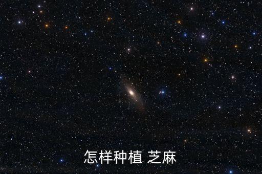 芝麻什么時候打農藥,什么時候打農藥效果最好