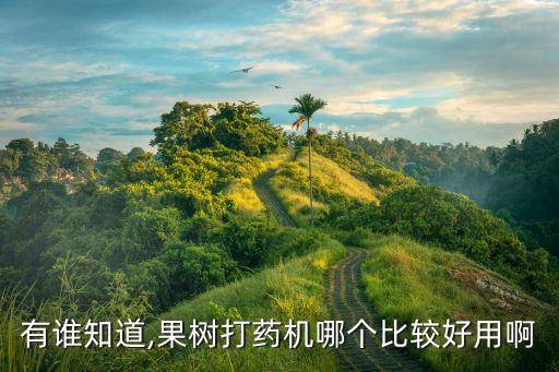 用什么機器打農(nóng)藥好打些,噴灑農(nóng)藥的機器叫什么