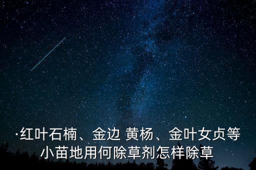 秋季黃楊打什么農藥,黃楊樹噴什么農藥