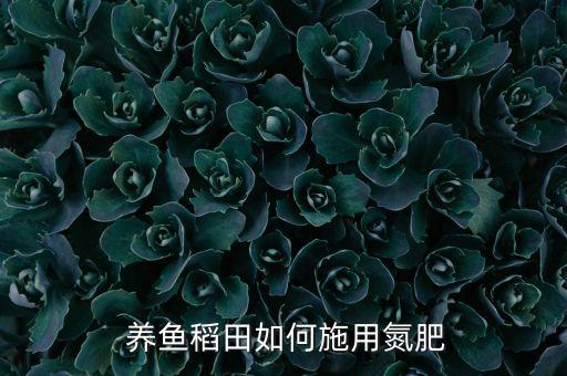 養(yǎng)魚需要什么農(nóng)藥,新手養(yǎng)魚需要什么