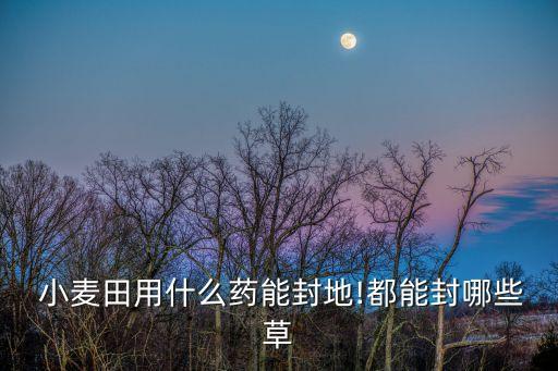  小麥田用什么藥能封地!都能封哪些草