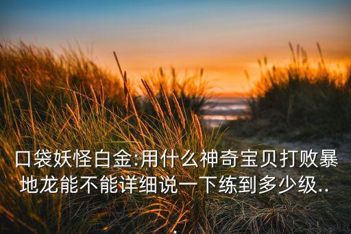 口袋妖怪白金:用什么神奇寶貝打敗暴地龍能不能詳細說一下練到多少級...