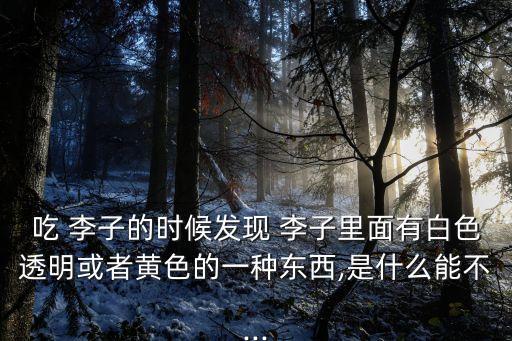 吃 李子的時候發(fā)現 李子里面有白色透明或者黃色的一種東西,是什么能不...