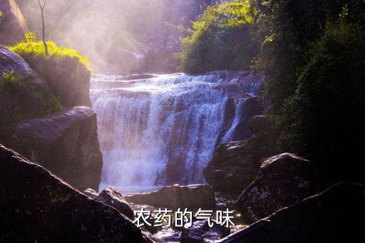 農(nóng)藥的氣味